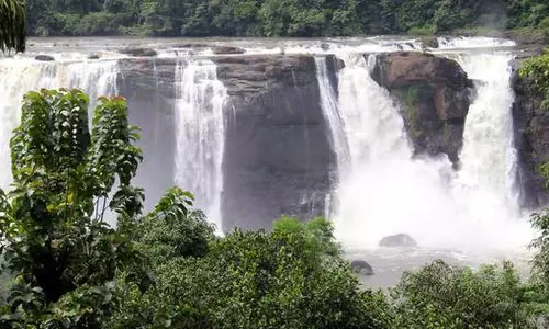 KSEB resumes operations for Athirappilly Hydropower Project
