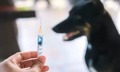 പ്രതിരോധ കുത്തിവെപ്പെടുത്തിട്ടും പേവിഷബാധയേറ്റ് മരണം:  കാരണങ്ങള്‍ പലത്; ഇക്കാര്യങ്ങൾ അറിഞ്ഞിരിക്കണം