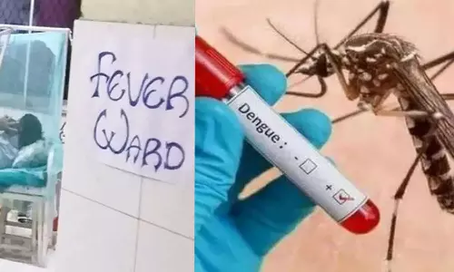 വിട്ടൊഴിയാതെ പകർച്ചവ്യാധി; സംസ്ഥാനത്ത് ഡെങ്കിപ്പനിയുംഎലിപ്പനിയും പടരുന്നു