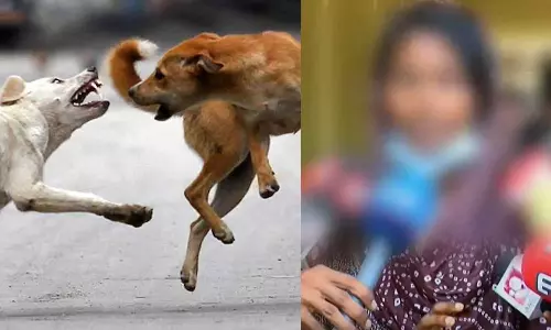  താറാവിനെ പിടിക്കാൻ വന്നപ്പോ ഓടിച്ചതാ, നായ  ചാടിവീണ് കടിച്ചു;  പ്രാഥമിക ചികിത്സകളെല്ലാം നൽകിയെന്ന് കൊല്ലത്ത് പേവിഷബാധയേറ്റ കുട്ടിയുടെ മാതാവ്