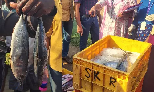 തിരുവനന്തപുരം അഞ്ചുതെങ്ങ് മത്സ്യ വ്യാപാര കേന്ദ്രത്തിൽ 385 കിലോ പഴകിയ മത്സ്യം പിടികൂടി