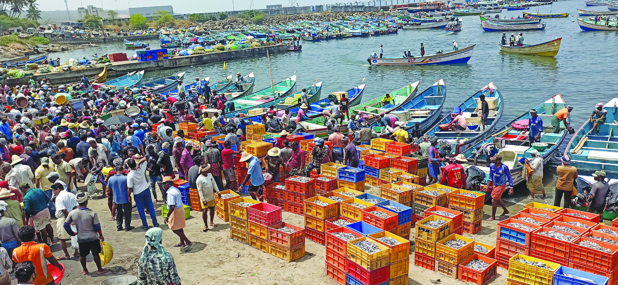 വിഴിഞ്ഞം ഹാർബർ വിഴിഞ്ഞം ഹാർബർ