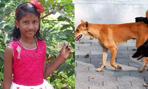 ഞാനോടിച്ചെല്ലുമ്പോൾ  പട്ടി എന്റെ കുഞ്ഞിനെ കടിച്ചുകീറുവായിരുന്നു, മാലിന്യം ഇടരുതേ എന്ന് പറഞ്ഞിട്ടും ആരും കേട്ടില്ല; നെഞ്ചുലച്ച് മാതാവിന്റെ കരച്ചിൽ