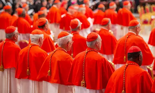 ആരാകും പുതിയ മാർപ്പാപ്പ? പേപ്പൽ കോൺക്ലേവ് നാളെ മുതൽ, വോട്ടവകാശം 133 കർദിനാൾമാർക്ക്