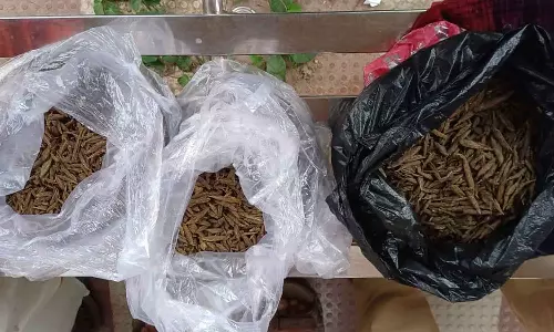 വ്യാജ സ്വാമിമാരുടെ വേഷത്തിൽ കഞ്ചാവ് കടത്ത്; അമരവിള ചെക്ക്പോസ്റ്റിൽ നാലരക്കിലോ കഞ്ചാവ് പിടികൂടി