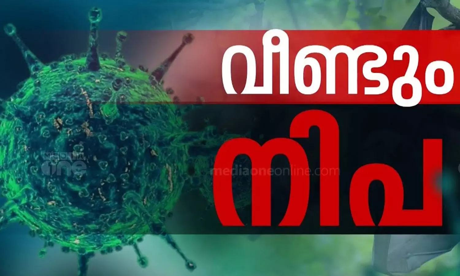 സംസ്ഥാനത്ത് വീണ്ടും നിപ; ചികിത്സയിലായിരുന്ന വളാഞ്ചേരി സ്വദേശിനിക്ക് രോഗം സ്ഥിരീകരിച്ചു സംസ്ഥാനത്ത് വീണ്ടും നിപ; ചികിത്സയിലായിരുന്ന വളാഞ്ചേരി സ്വദേശിനിക്ക് രോഗം സ്ഥിരീകരിച്ചു