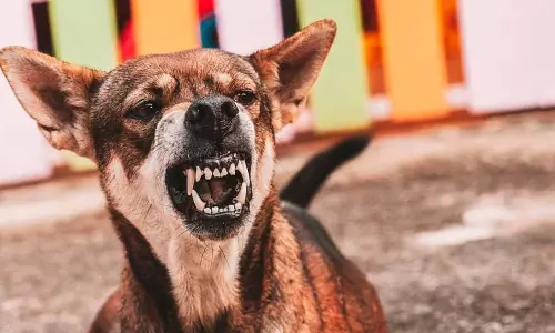 പേവിഷ ബാധയേറ്റ് 13കാരിയുടെ മരണം; നായയുടെ ഉടമക്കെതിരെ കേസെടുത്തു