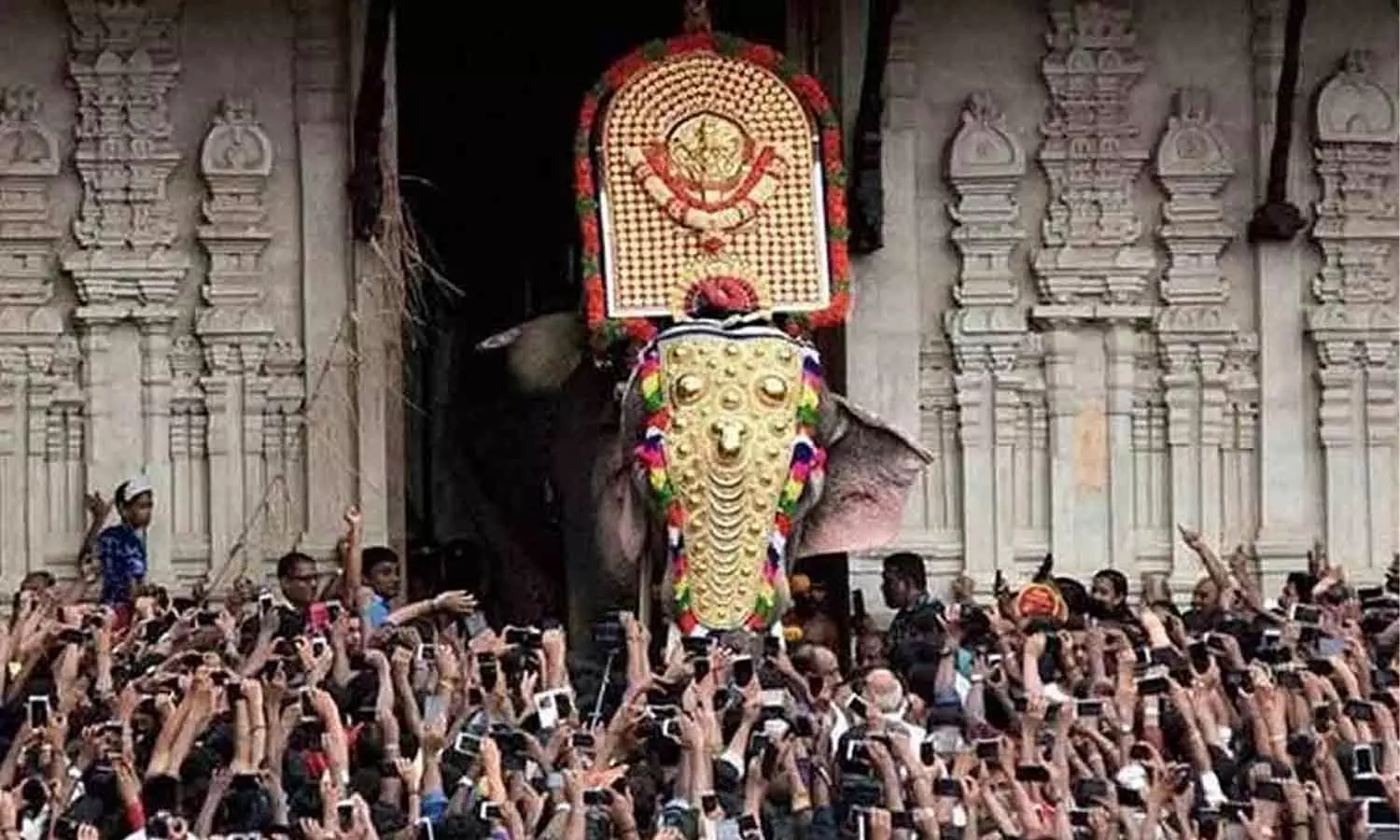 തൃശൂർ പൂരത്തിനിടെ ആന വിരണ്ടോടിയത് കണ്ണിലേയ്ക്ക് ലേസർ അടിച്ചതിനാൽ’; ആരോപണവുമായി പാറമേക്കാവ് ദേവസ്വം