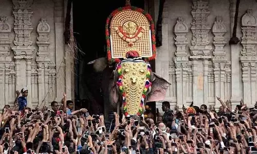 തൃശൂർ പൂരത്തിനിടെ ആന വിരണ്ടോടിയത് കണ്ണിലേയ്ക്ക് ലേസർ അടിച്ചതിനാൽ’; ആരോപണവുമായി പാറമേക്കാവ് ദേവസ്വം