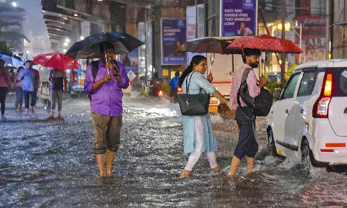 ഇന്ന് വ്യാപക മഴക്ക് സാധ്യത; ഏഴ് ജില്ലകളിൽ യെല്ലോ അലർട്ട്