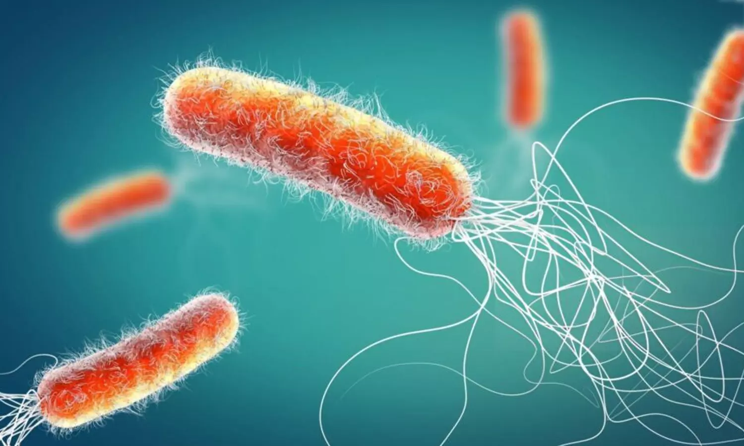 ആലപ്പുഴയിൽ കോളറ സ്ഥിരീകരിച്ചു ആലപ്പുഴയിൽ കോളറ സ്ഥിരീകരിച്ചു