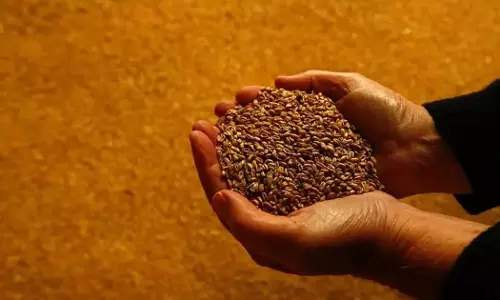 ഗോതമ്പ് ഇറക്കുമതിക്കായി ടെണ്ടർ പുറത്തിറക്കി സൗദി അറേബ്യ