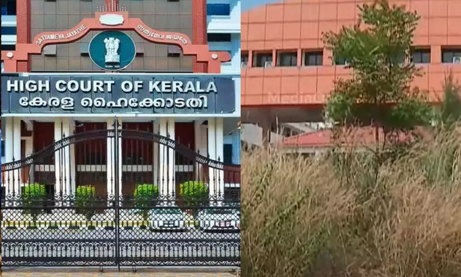 കെടിയു-ഡിജിറ്റൽ സർവകലാശാലയിലെ നിയമനപ്പോരിൽ ഗവർണർക്ക് തിരിച്ചടി; താൽക്കാലിക വിസി നിയമനം തെറ്റെന്ന് ഹൈക്കോടതി കെടിയു-ഡിജിറ്റൽ സർവകലാശാലയിലെ നിയമനപ്പോരിൽ ഗവർണർക്ക് തിരിച്ചടി; താൽക്കാലിക വിസി നിയമനം തെറ്റെന്ന് ഹൈക്കോടതി