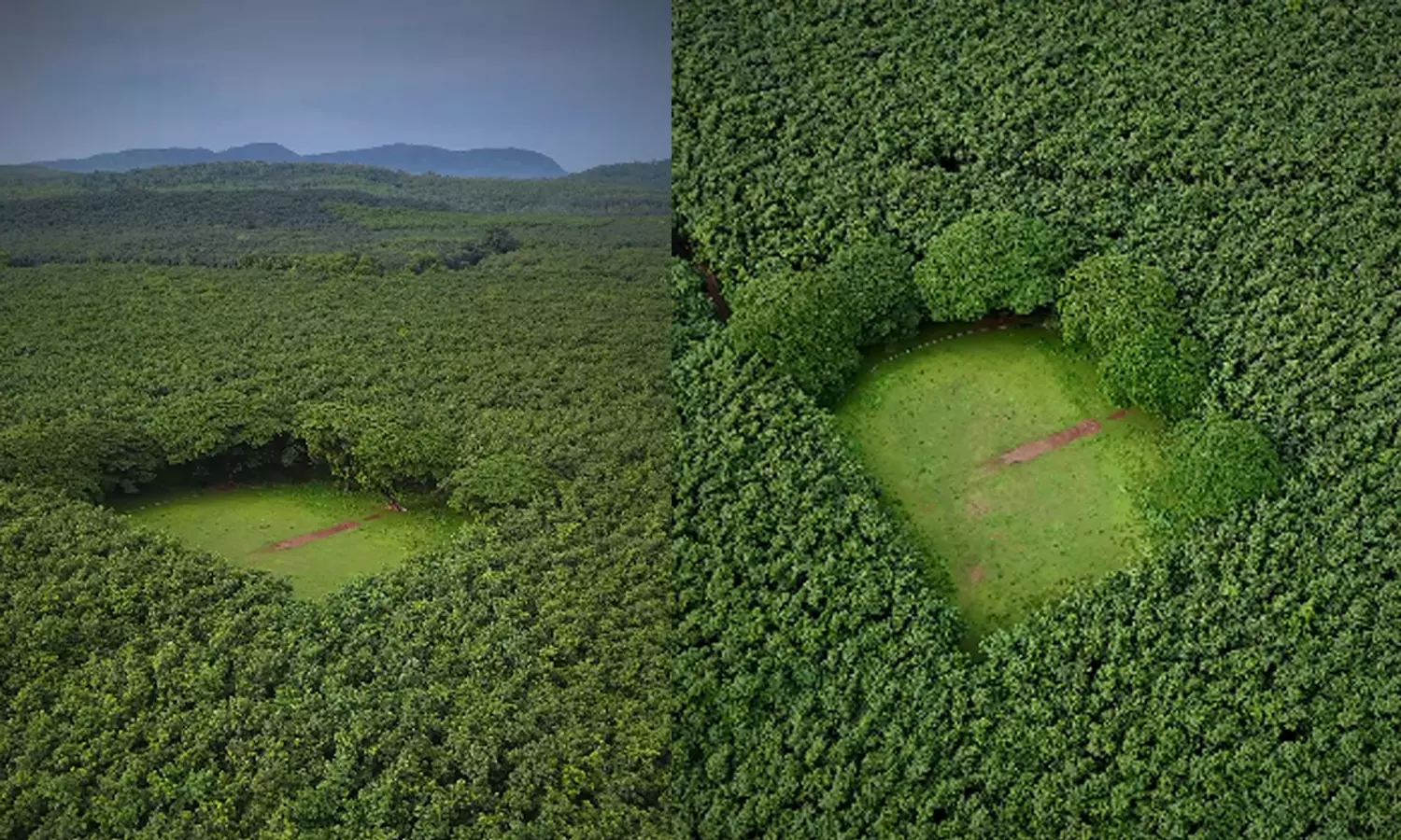 ആമസോൺ കാടും വിദേശ രാജ്യങ്ങളൊന്നുമല്ല; മ്മടെ തൃശൂരിലാണ് ഈ വൈറൽ ഗ്രൗണ്ട്... ആമസോൺ കാടും വിദേശ രാജ്യങ്ങളൊന്നുമല്ല; മ്മടെ തൃശൂരിലാണ് ഈ വൈറൽ ഗ്രൗണ്ട്...