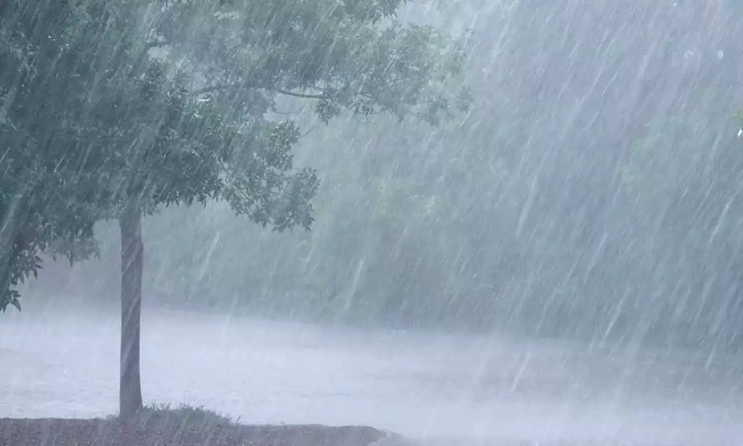 സംസ്ഥാനത്ത് അതിതീവ്ര മഴ മുന്നറിയിപ്പ്; നാല് ജില്ലകളിൽ ഇന്ന് റെഡ് അലർട്ട്