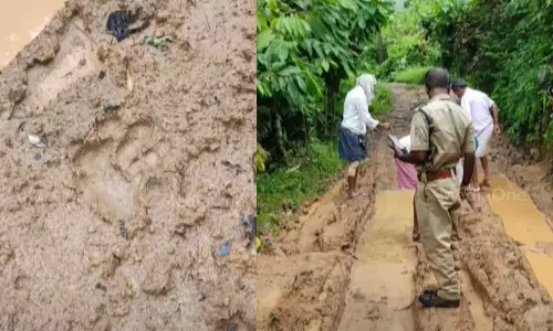 കാളികാവിലെ കടുവയെ പിടികൂടാനുള്ള ദൗത്യം ആറാം ദിവസത്തിലേക്ക്