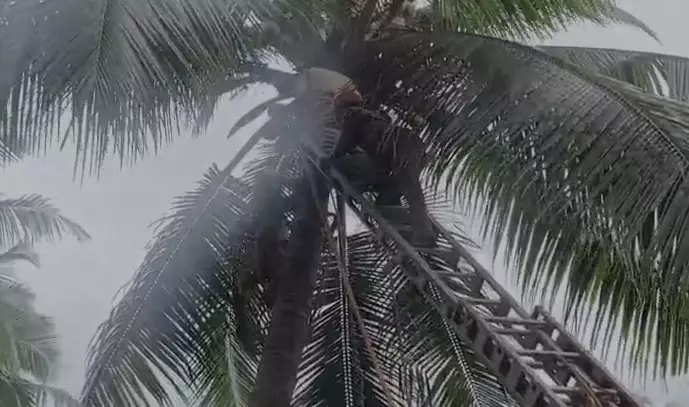 Malappuram death Malappuram death