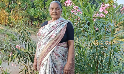 തൃശൂർ വാൽപ്പാറ അതിർത്തിയിൽ കാട്ടാന ആക്രമണത്തിൽ സ്ത്രീ കൊല്ലപ്പെട്ടു