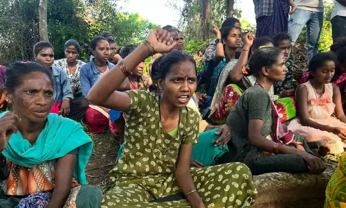 ഇന്ത്യൻ കടുവ സംരക്ഷണ കേന്ദ്രങ്ങളിലെ തദ്ദേശവാസികൾ കുടിയിറക്കൽ ഭീഷണിയിൽ; ആശങ്ക പ്രകടിപ്പിച്ച് യുഎൻ