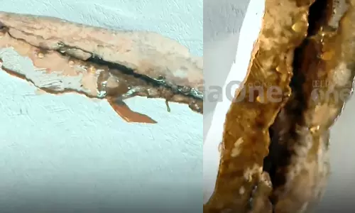 കോഴിക്കോട് എലത്തൂർ അമ്പലപ്പടിയിൽ ദേശീയപാതാ മേൽപ്പാലത്തിൽ വിള്ളൽ; ബൈക്ക് യാത്രികര്‍ക്ക് മുകളിലേക്ക് കോൺക്രീറ്റ് അടർന്നു വീണു