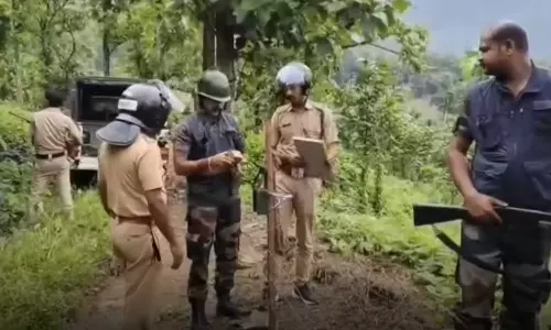 കാളികാവ് കടുവാ ദൗത്യം; ഒമ്പതാം ദിവസവും തിരച്ചിൽ തുടരുന്നു