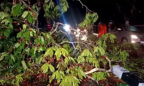 തലസ്ഥാനത്ത് അതിശക്തമായ മഴ; വിവധയിടങ്ങളിൽ മഴക്കെടുതി