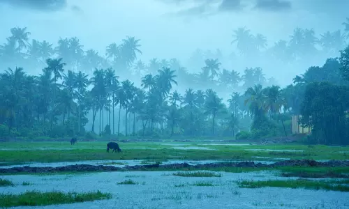 monsoon