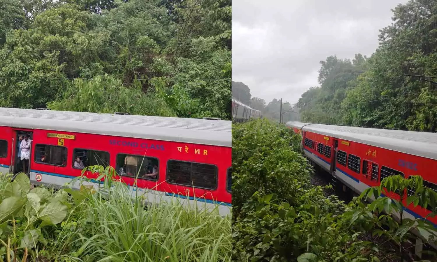 തൃശ്ശൂരിൽ ഓടിക്കൊണ്ടിരുന്ന ട്രെയിനിനു മുകളിൽ മരക്കൊമ്പ് വീണു തൃശ്ശൂരിൽ ഓടിക്കൊണ്ടിരുന്ന ട്രെയിനിനു മുകളിൽ മരക്കൊമ്പ് വീണു