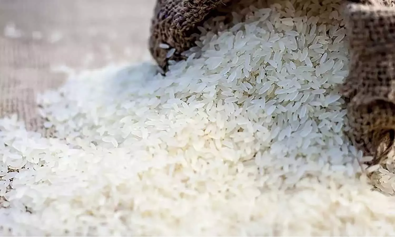 ഇന്ത്യയുടെ വിശപ്പടക്കാൻ ഫിലിപ്പൈനിൽ നിന്ന് നെല്ല്; പുതിയ ഇനം വികസിപ്പിച്ച് ശാസ്ത്രജ്ഞർ