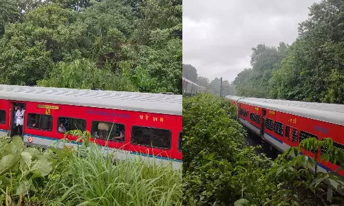 തൃശ്ശൂരിൽ ഓടിക്കൊണ്ടിരുന്ന ട്രെയിനിനു മുകളിൽ മരക്കൊമ്പ് വീണു