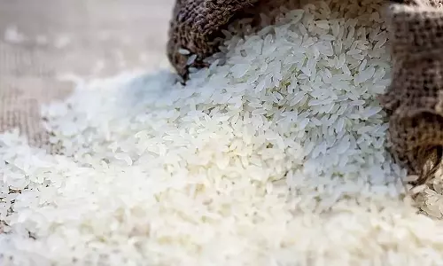 ഇന്ത്യയുടെ വിശപ്പടക്കാൻ ഫിലിപ്പൈനിൽ നിന്ന് നെല്ല്; പുതിയ ഇനം വികസിപ്പിച്ച് ശാസ്ത്രജ്ഞർ