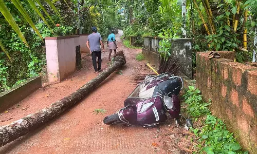 വടകരയിൽ ഓടിക്കൊണ്ടിരിക്കുന്ന സ്കൂട്ടറിന് മുകളിൽ മരം വീണ് വയോധികൻ മരിച്ചു