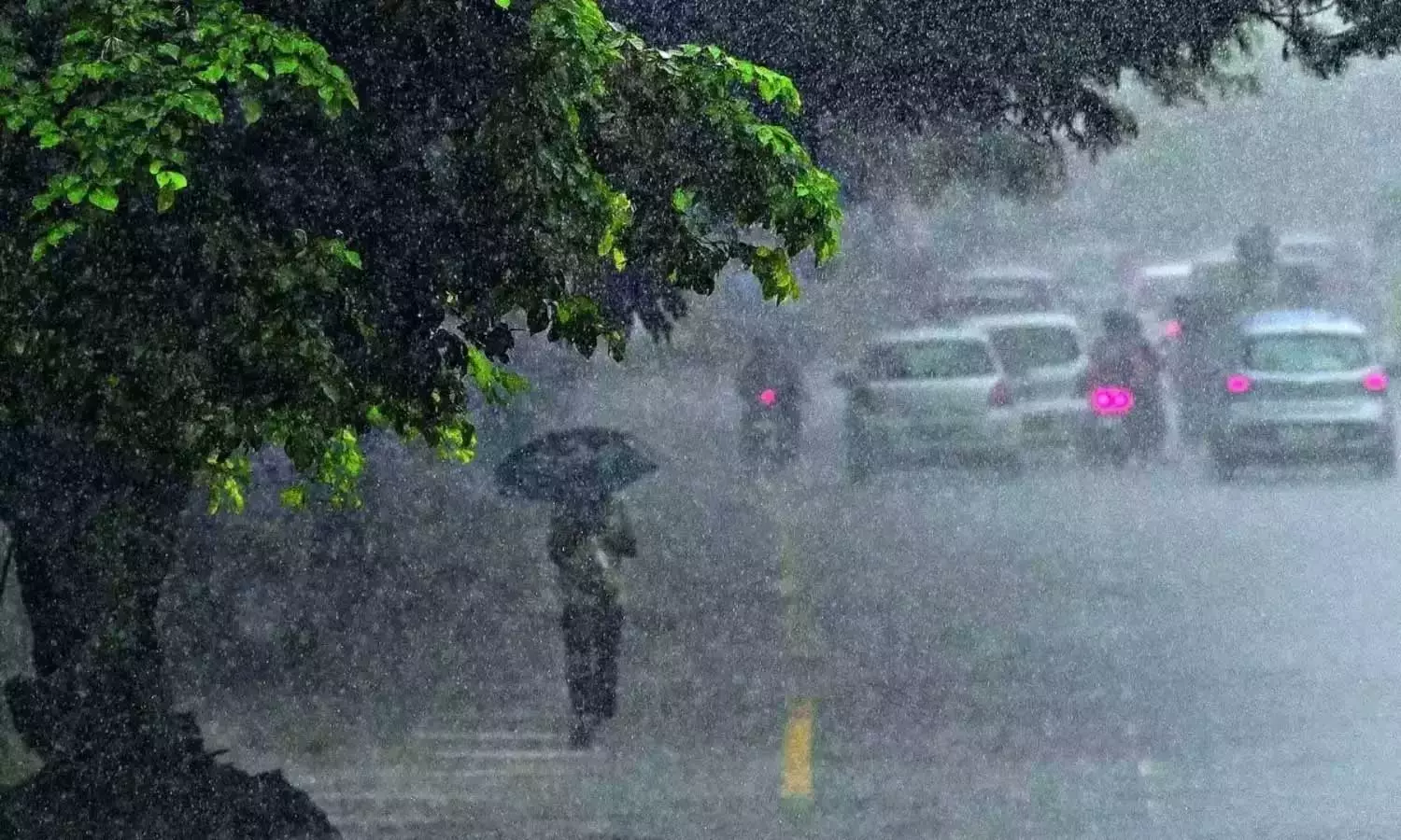 കനത്ത മഴ: വടക്കൻ കേരളത്തിൽ വ്യാപക നാശനഷ്ടം; ആളുകളെ ദുരിതാശ്വാസ ക്യാമ്പിലേക്ക് മാറ്റി കനത്ത മഴ: വടക്കൻ കേരളത്തിൽ വ്യാപക നാശനഷ്ടം; ആളുകളെ ദുരിതാശ്വാസ ക്യാമ്പിലേക്ക് മാറ്റി