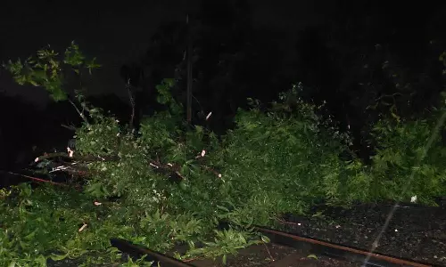 കോഴിക്കോട് അരീക്കാട് ചുഴലിക്കാറ്റ്; റെയിൽവേ ട്രാക്കിലേക്ക് മരങ്ങൾ കടപുഴകി വീണു