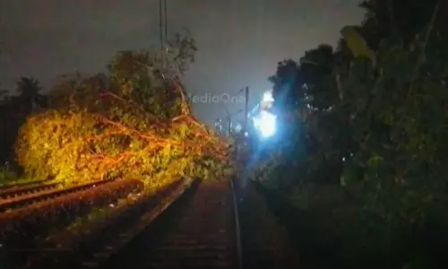 കനത്ത മഴയിൽ സംസ്ഥാനത്ത് വ്യാപക നാശനഷ്ടം; ട്രാക്കിലേക്ക് മരം വീണ് കോഴിക്കോടും ആലുവയിലും    ട്രെയിന്‍ ഗതാഗതം ഭാഗികമായി തടസപ്പെട്ടു