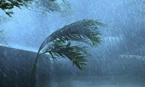 സംസ്ഥാനത്ത് ശക്തമായ കാറ്റിന് സാധ്യത; നേരിടേണ്ടത് എങ്ങനെയെന്നറിയാം സംസ്ഥാനത്ത് ശക്തമായ കാറ്റിന് സാധ്യത; നേരിടേണ്ടത് എങ്ങനെയെന്നറിയാം