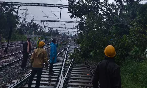 തിരുവനന്തപുരത്തും ആലപ്പുഴയിലും റെയിൽവേ ട്രാക്കിൽ മരം വീണു; ട്രെയിനുകൾ വൈകി ഓടുന്നു