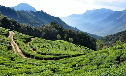 കനത്ത മഴ; ഇടുക്കി ജില്ലയിലെ എല്ലാ വിനോദസഞ്ചാര കേന്ദ്രങ്ങളും അടച്ചു പൂട്ടാൻ ഉത്തരവ് കനത്ത മഴ; ഇടുക്കി ജില്ലയിലെ എല്ലാ വിനോദസഞ്ചാര കേന്ദ്രങ്ങളും അടച്ചു പൂട്ടാൻ ഉത്തരവ്