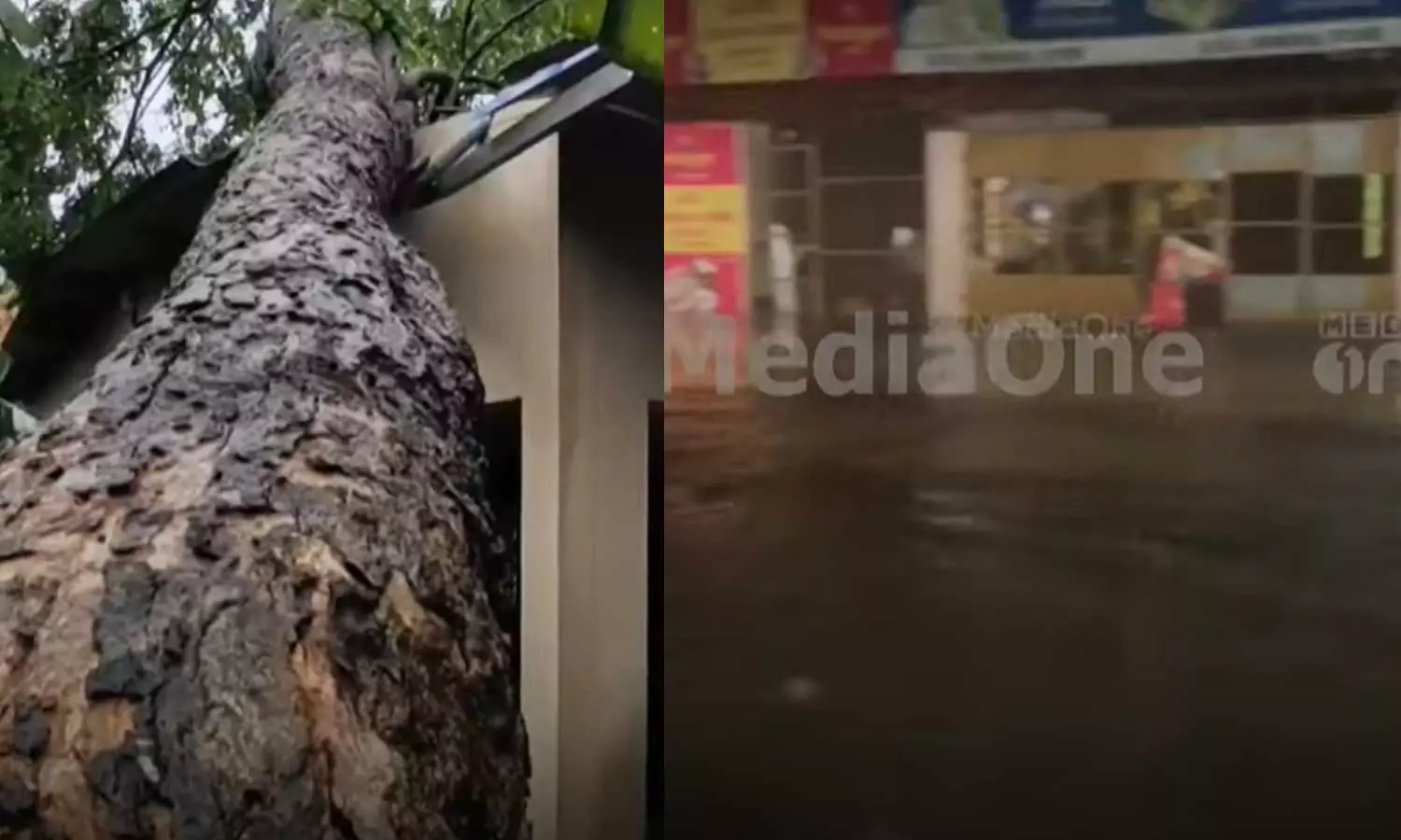 rain,kerala,Weather Alert, Heavy Rains, Kerala, IMD ,latest malayalam news,മഴ,കാലവര്ഷം,കാലവര്ഷക്കെടുതി rain,kerala,Weather Alert, Heavy Rains, Kerala, IMD ,latest malayalam news,മഴ,കാലവര്ഷം,കാലവര്ഷക്കെടുതി