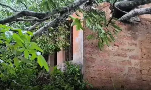 ശക്തമായ മഴ: തെക്കൻ കേരളത്തിൽ കനത്ത നാശനഷ്ടം ശക്തമായ മഴ: തെക്കൻ കേരളത്തിൽ കനത്ത നാശനഷ്ടം