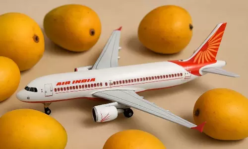 എയര്‍ ഇന്ത്യ വഴി മാമ്പഴം വിദേശത്തിലേക്ക്; ഏപ്രിലില്‍ കയറ്റി അയച്ചത് ആയിരം ടണ്‍