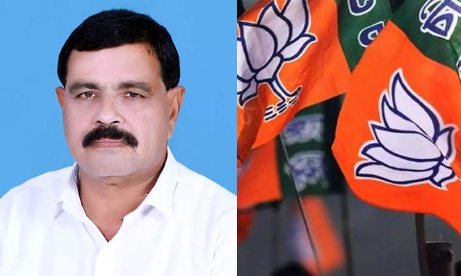 നിലമ്പൂരിൽ അഡ്വ. മോഹൻ ജോർജ് ബിജെപി സ്ഥാനാർഥി നിലമ്പൂരിൽ അഡ്വ. മോഹൻ ജോർജ് ബിജെപി സ്ഥാനാർഥി