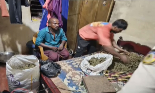 കാസർകോട് മഞ്ചേശ്വരത്ത് 33 കിലോ കഞ്ചാവുമായി ഒരാൾ പിടിയിൽ