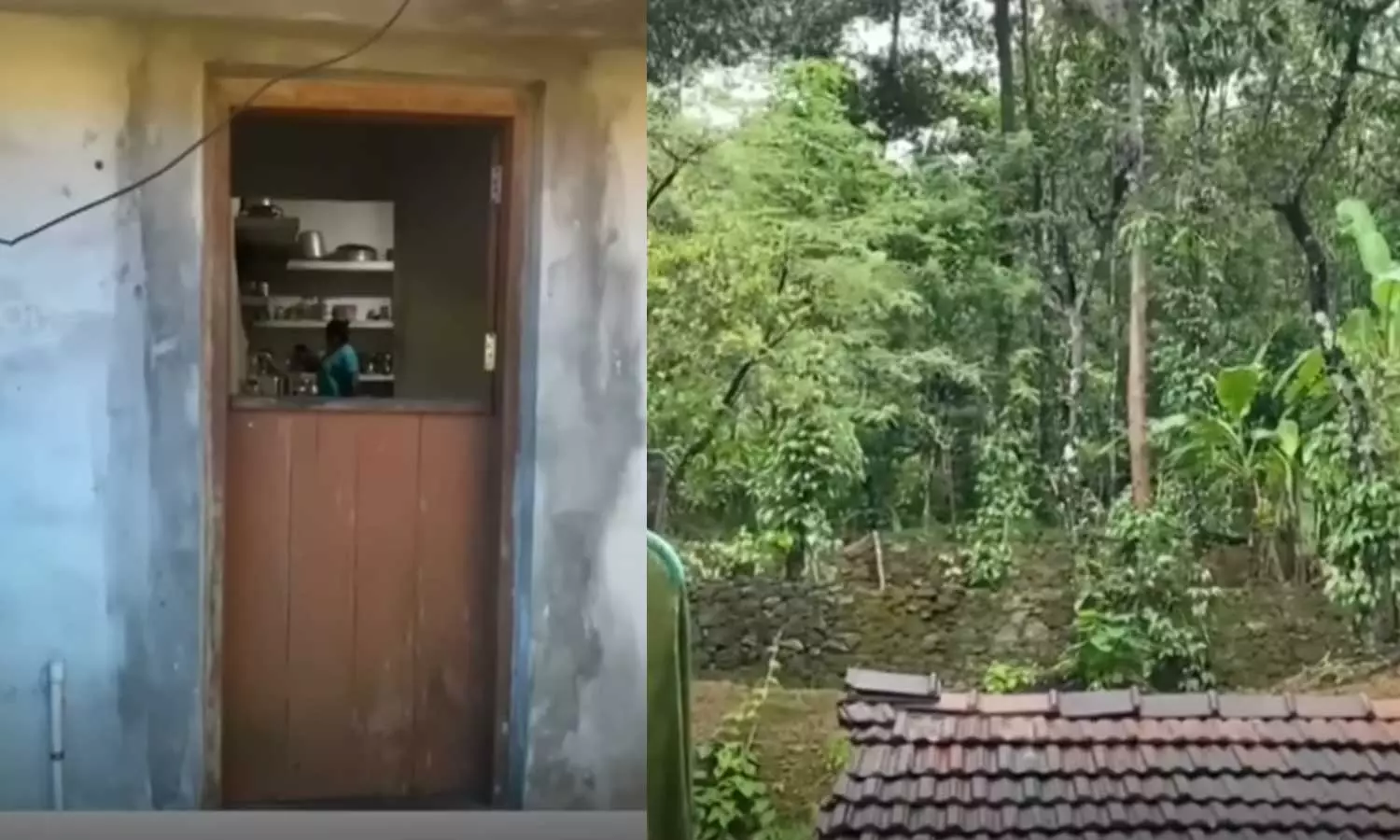 മല്ലിപ്പൊടിയും ഉപ്പുമൊഴികെ അടുക്കളയിലെ സകല സാധനവും 10,000 രൂപയും എടുത്തുകൊണ്ടുപോയി; ശബരിമല വനമേഖലയിൽ അജ്ഞാത സംഘത്തിന്റെ സാന്നിധ്യമെന്ന് നാട്ടുകാർ മല്ലിപ്പൊടിയും ഉപ്പുമൊഴികെ അടുക്കളയിലെ സകല സാധനവും 10,000 രൂപയും എടുത്തുകൊണ്ടുപോയി; ശബരിമല വനമേഖലയിൽ അജ്ഞാത സംഘത്തിന്റെ സാന്നിധ്യമെന്ന് നാട്ടുകാർ