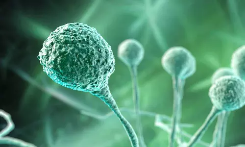 അപകടകാരിയായ ഫംഗസിനെ യുഎസിലേക്ക് കടത്തി; രണ്ട് ചൈനീസ് ഗവേഷകര്‍ അറസ്റ്റില്‍