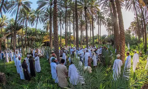 ഒമാനിൽ സജീവമായി ഹബ്ത മാർക്കറ്റുകൾ