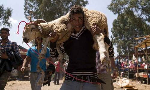 വരൾച്ച, കാലി സമ്പത്തിലെ കുറവ്: പെരുന്നാൾ ബലി വേണ്ടെന്ന് വെച്ച് മൊറോക്കോ