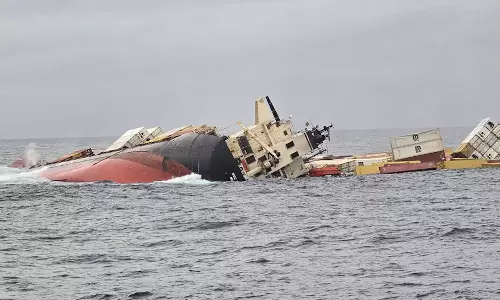 എംഎസ്‌സി എൽസ 3 കപ്പലപകടം: കേസെടുത്ത് പൊലീസ്