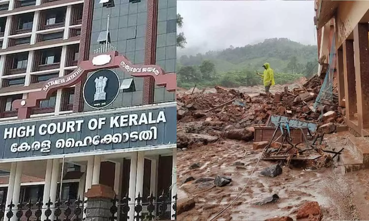 മുണ്ടക്കൈ ചൂരൽമല ദുരന്തബാധിതരുടെ വായ്പ എഴുതിത്തള്ളൽ: കേന്ദ്രത്തിന് ഹൈക്കോടതിയുടെ വിമർശനം
