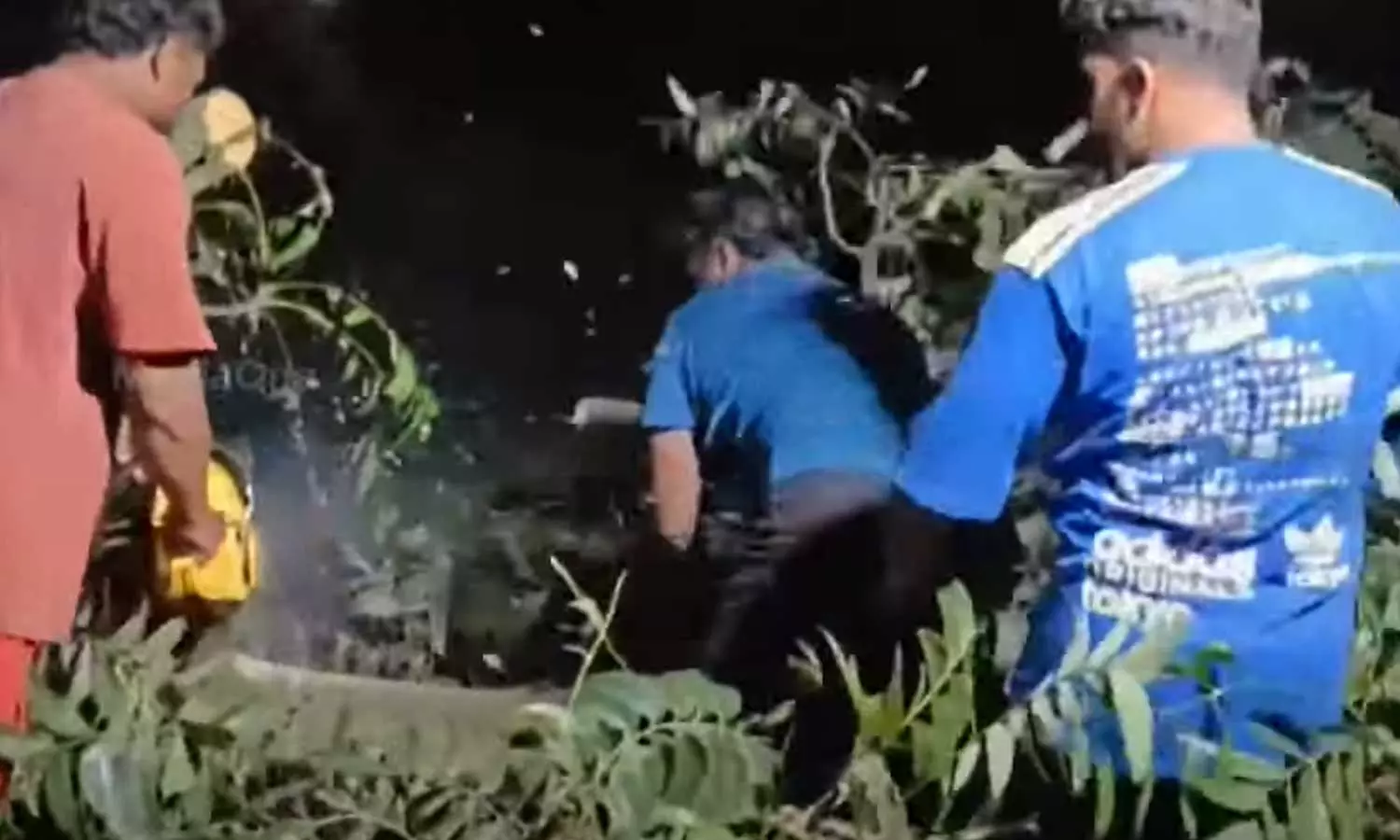 കൊല്ലം പോളയത്തോട് റെയിൽവേ ട്രാക്കിന് കുറുകെ മരം വീണു; റൂട്ടിലെ ട്രെയിൻ ഗതാഗതം തടസ്സപ്പെട്ടു കൊല്ലം പോളയത്തോട് റെയിൽവേ ട്രാക്കിന് കുറുകെ മരം വീണു; റൂട്ടിലെ ട്രെയിൻ ഗതാഗതം തടസ്സപ്പെട്ടു